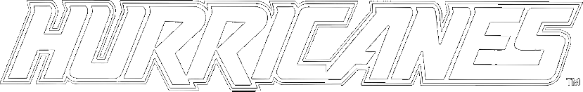 Hurricanes logo for Super Nintendo